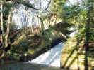 Stream downstream2.jpg (137667 bytes)