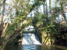 Stream downstream.jpg (143798 bytes)