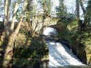 Stream downstream west2.jpg (136071 bytes)