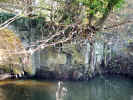 Stream upstream west2.jpg (124581 bytes)