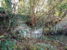 Stream upstream west4.jpg (145617 bytes)